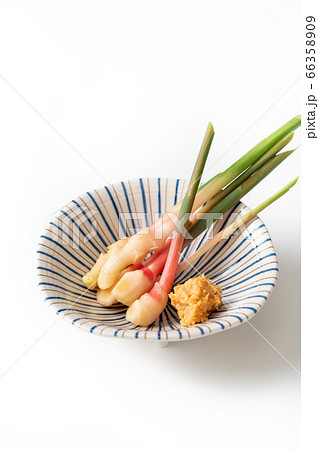 谷中生姜 66358909