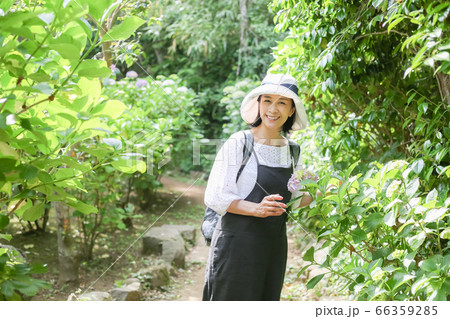 神奈川県藤沢市江の島を楽しむ旅ガール 旅女子 神奈川県藤沢市江の島を楽しむ旅ガール 旅女子 66359285