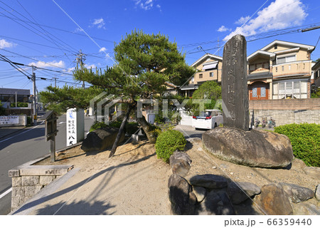 一乗寺下り松　決闘之地　石碑（京都府京都市左京区） 66359440