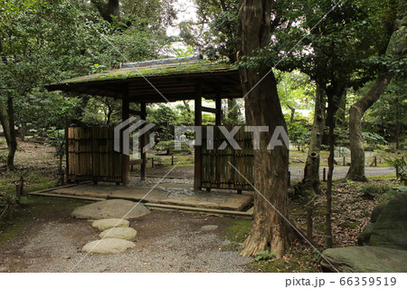 旧古河庭園日本庭園 66359519