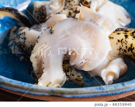 北海道産の真つぶ（灯台つぶ）の断面のクローズアップ。 66359940