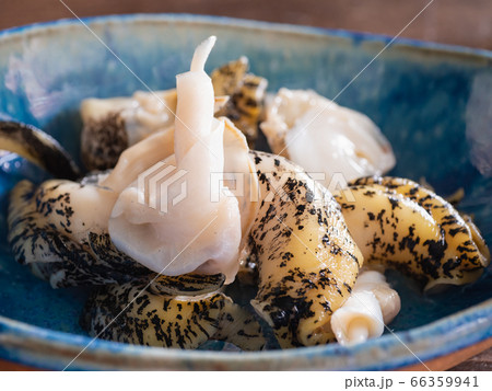北海道産の真つぶ（灯台つぶ）のクローズアップ。 66359941