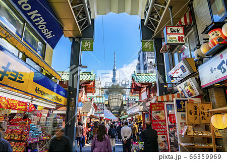 【東京都】浅草の新仲見世商店街から見える東京スカイツリー 66359969