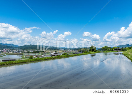 京都府・亀岡 初夏 京都府・亀岡 初夏 66361059