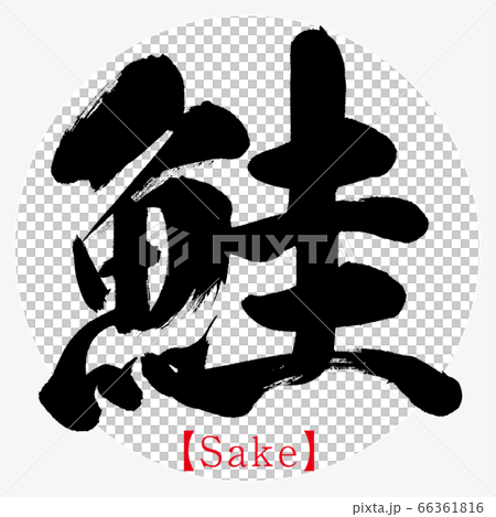 鮭 Sake 筆文字 手書き のイラスト素材