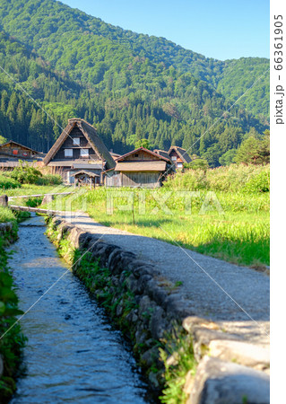 初夏の白川郷(朝) 初夏の白川郷(朝) 66361905