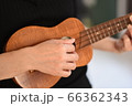 ウクレレ 66362343