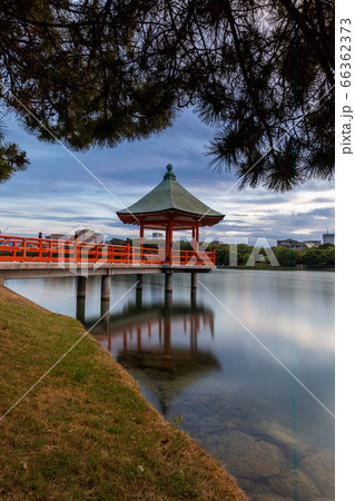 反射する浮見堂、福岡市大濠公園 66362373