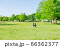 雲のない青空と新緑の芝生に子供がいる風景イメージ 66362377