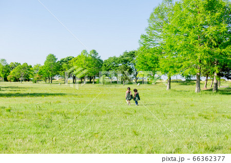 雲のない青空と新緑の芝生に子供がいる風景イメージの写真素材 [66362377] - PIXTA