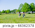 雲のない青空と新緑の芝生の上を走る子供達 66362378