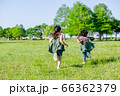 雲のない青空と新緑の芝生の上を走る子供達 66362379