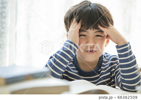 韓国人 子供 小学生 66362509