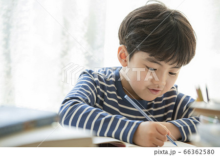 韓国人 子供 小学生 66362580