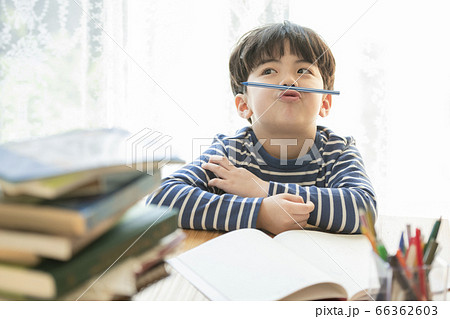 韓国人 子供 小学生 66362603