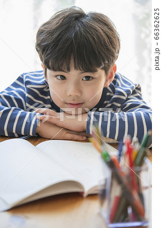 韓国人 子供 小学生 66362625