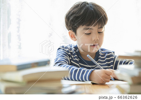 韓国人 子供 小学生 66362626