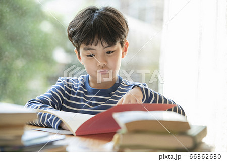 韓国人 子供 小学生 66362630