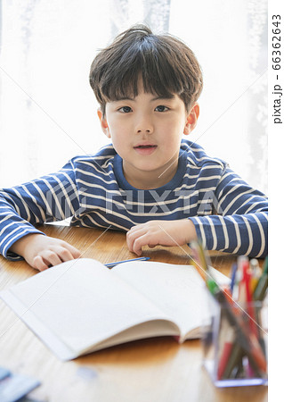 韓国人 子供 小学生 66362643