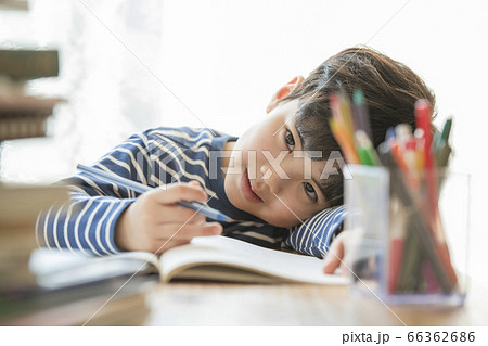 韓国人 子供 小学生 66362686