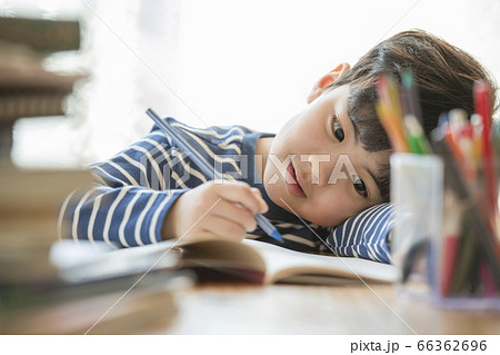 韓国人 子供 小学生 66362696