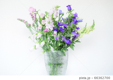 フラワーアレンジメント 白バック フラワーアレンジメント 白バック 66362700