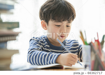 韓国人 子供 小学生 66362717