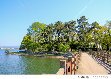 膳所城跡公園 66363609