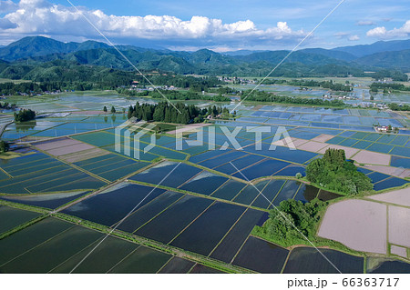 空撮　田植え後の田園風景　6月　秋田県 66363717