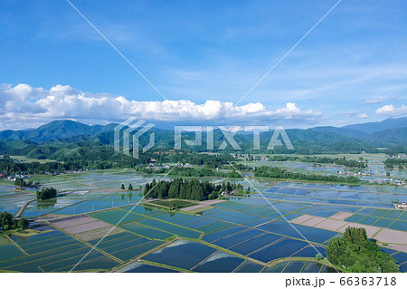 空撮　田植え後の田園風景　6月　秋田県 66363718