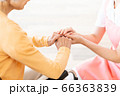 介護　女性　病院　ヘルパー　介護士　シニア 66363839