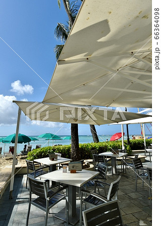 ハワイの休日 66364098