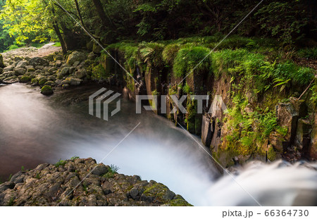 熊本県の菊池市にある菊池渓谷の新緑、梅雨の合間の晴れのひと時の清流の流れ 熊本県の菊池市にある菊池渓谷の新緑、梅雨の合間の晴れのひと時の清流の流れ 66364730