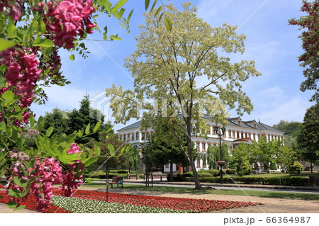 小坂鉱山事務所とアカシア 66364987