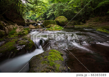 熊本県の菊池市にある菊池渓谷の新緑、梅雨の合間の晴れのひと時の清流の流れ 熊本県の菊池市にある菊池渓谷の新緑、梅雨の合間の晴れのひと時の清流の流れ 66365089