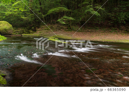 熊本県の菊池市にある菊池渓谷の新緑、梅雨の合間の晴れのひと時の清流の流れ 熊本県の菊池市にある菊池渓谷の新緑、梅雨の合間の晴れのひと時の清流の流れ 66365090