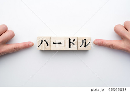 イメージ　ハードル 66366053