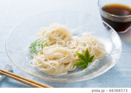 ひやむぎ 66366573