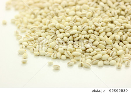 大麦　丸麦　麦ごはん用 66366680