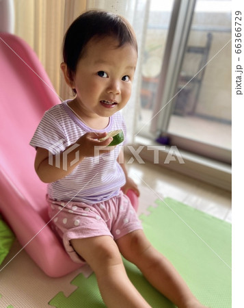 フルーツを食べる子供 フルーツを食べる子供 66366729