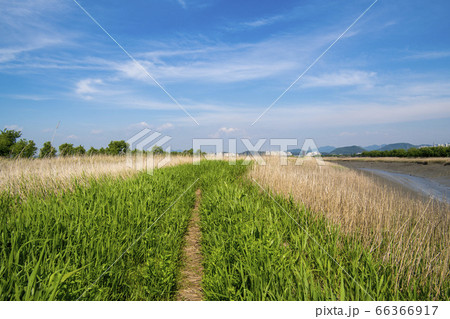 自然 風景 韓国 66366917