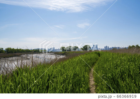 自然 風景 韓国 66366919