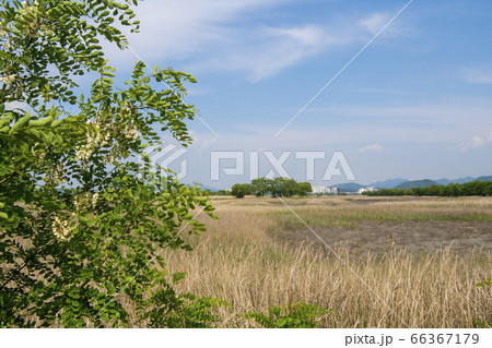 自然 風景 韓国 66367179