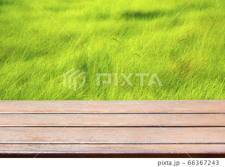 デッキ 背景 木 66367243