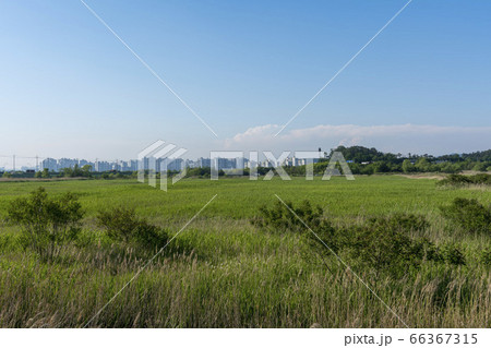 自然 風景 韓国 66367315
