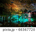 ライトアップ 66367720