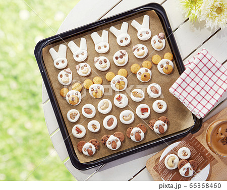 動物さんの姿のマシュマロクッキーの写真素材