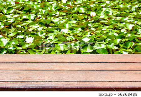デッキ 背景 木 66368488