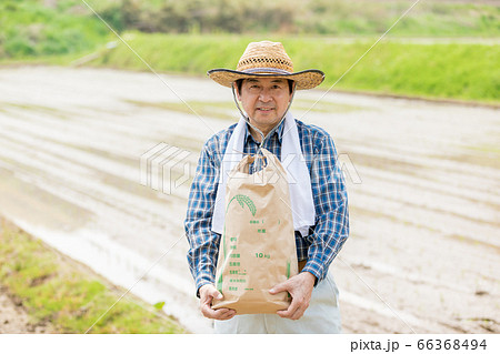 田植えと米収穫イメージ 66368494