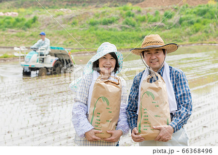 田植えと米収穫イメージ　 66368496